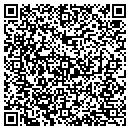 QR code with Borrelli's Aqua Shield contacts