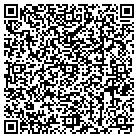 QR code with Pulaski Package Store contacts