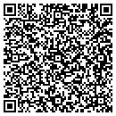 QR code with Premier Solutions contacts