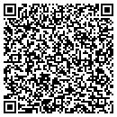 QR code with Professional Help Desk contacts