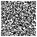 QR code with Practicfield contacts