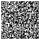 QR code with Blr Stable Inc contacts