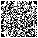 QR code with Prizm Floors contacts