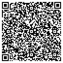 QR code with Professional Floors contacts