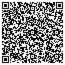 QR code with Carpet One Stevens contacts