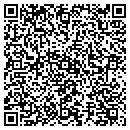 QR code with Carter's Synthetics contacts