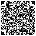 QR code with Lioness Intl contacts