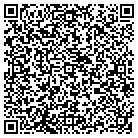 QR code with Public Sector Technologies contacts