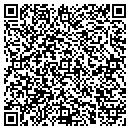 QR code with Carters Flooring LLC contacts