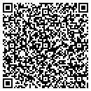 QR code with Carpet Plus & Design contacts