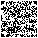 QR code with Premier Martial Arts contacts