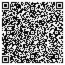 QR code with Precise Details contacts
