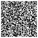 QR code with Premiere Floor Systems contacts