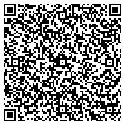 QR code with Blue Sky Nails & Spa LLC contacts