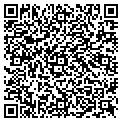 QR code with Macy's contacts