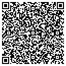 QR code with Blueberry Hills contacts