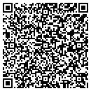 QR code with Punchlist Services contacts