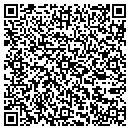 QR code with Carpet Plus Carpet contacts