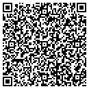 QR code with Carpets Plus contacts