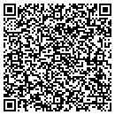 QR code with Carpet Village contacts
