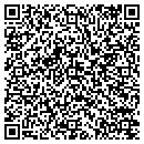 QR code with Carpet Store contacts