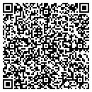 QR code with Carpet Concepts Inc contacts