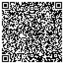 QR code with Carpet One Horan contacts