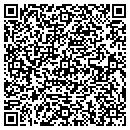 QR code with Carpet Store Inc contacts