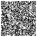 QR code with Carpet Systems Inc contacts
