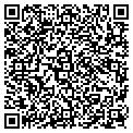 QR code with Curves contacts