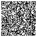 QR code with Anne M Ragusa contacts