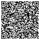 QR code with Carpet Store contacts