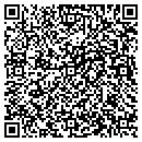 QR code with Carpet Store contacts