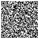 QR code with Carpet One Floor & Home contacts