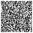 QR code with Carpet Solution contacts