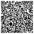 QR code with Pro Insurance Co Inc contacts