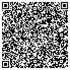 QR code with Carpet One of South Haven contacts