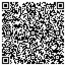 QR code with Carpet Store contacts