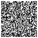 QR code with Carpet Interantional Inc contacts