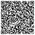 QR code with City Dogs Franchising LLC contacts