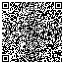 QR code with Carpet One Wilsons contacts
