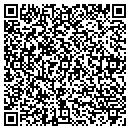QR code with Carpets From Georgia contacts