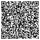 QR code with Carpet Solutions LLC contacts