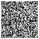 QR code with Pubba S Hot Dog Plus contacts