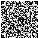 QR code with Carpet Plus Of Smyrna contacts