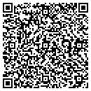 QR code with Carpets By Curiosity contacts