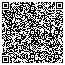 QR code with Carpet Gallery Inc contacts