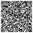 QR code with Carpet Connection Inc contacts