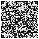 QR code with Carpet Store contacts
