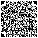 QR code with Carpet Solutions LLC contacts